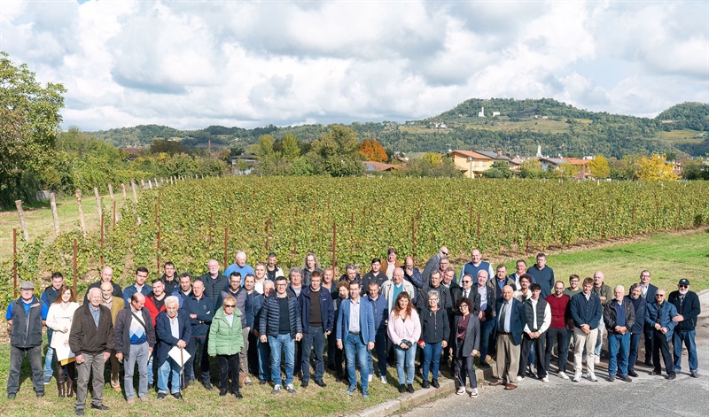 Cormòns: fatturato e remunerazione delle uve record per i soci della Cantina Produttori