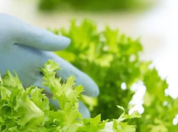 Sicurezza alimentare e responsabilità