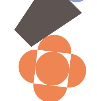 Workshop IPS il 30 gennaio